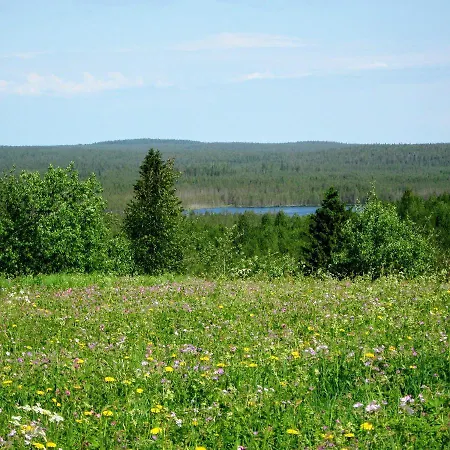 Agroturismo Ylaepihan Tila Elomäki