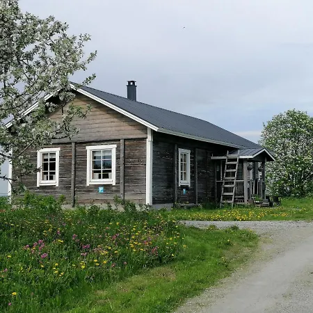 Yläpihan Tila *