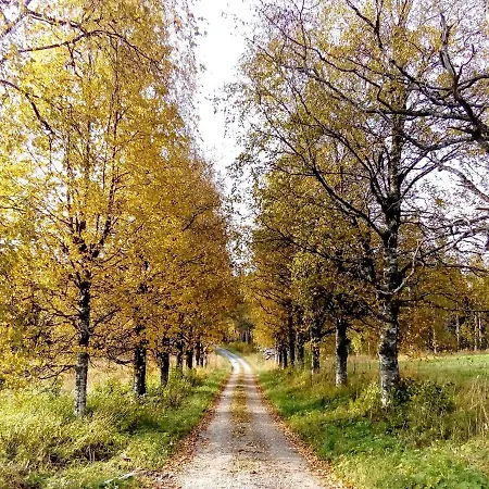 Agroturismo Ylaepihan Tila