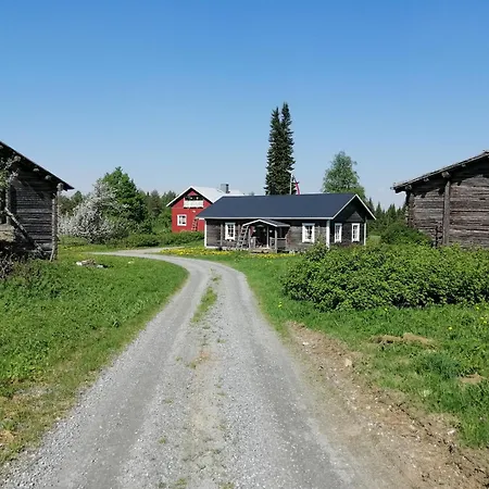 Yläpihan Tila *