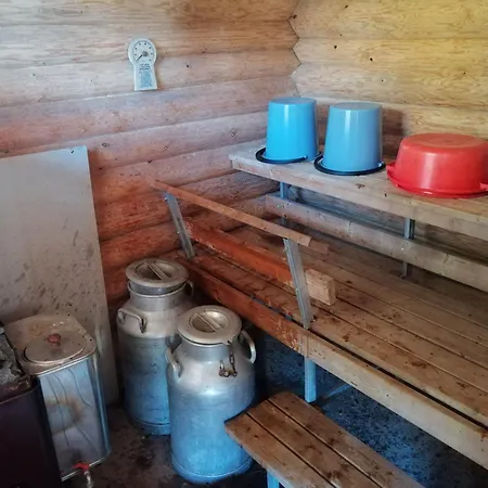 Yläpihan Tila