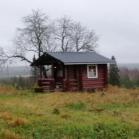 Yläpihan Tila